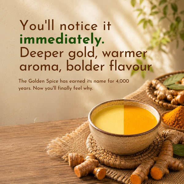 High Curcumin Turmeric Powder benefit 4