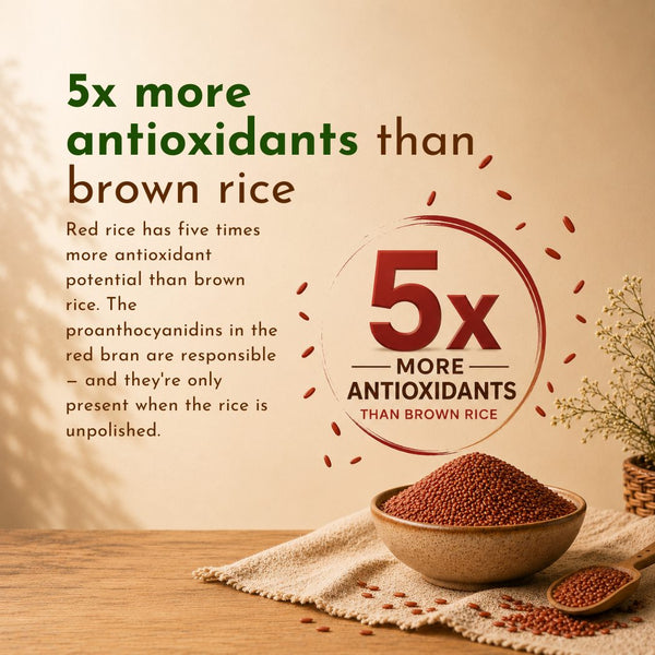 Organic Red Rice benefit 2