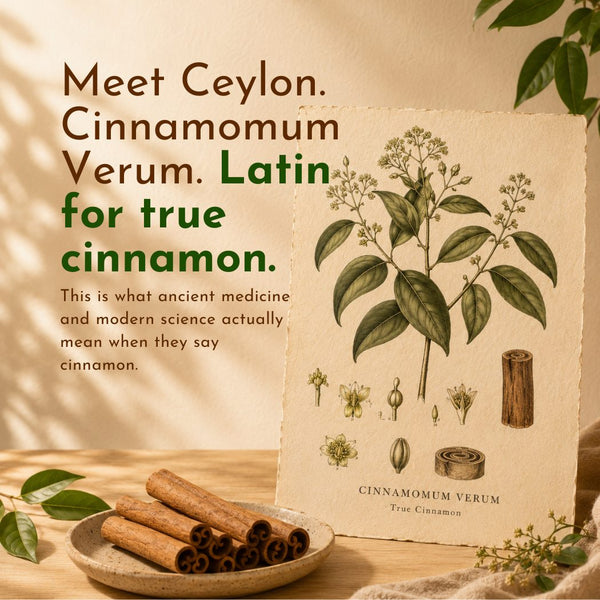 Ceylon Cinnamon Sticks 70GM benefit 5